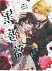 总裁的隐婚妻短剧海报